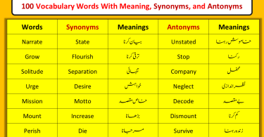 100 Vocabulary Words With Meaning, Synonyms, and Antonyms