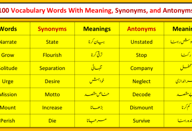 100 Vocabulary Words With Meaning, Synonyms, and Antonyms