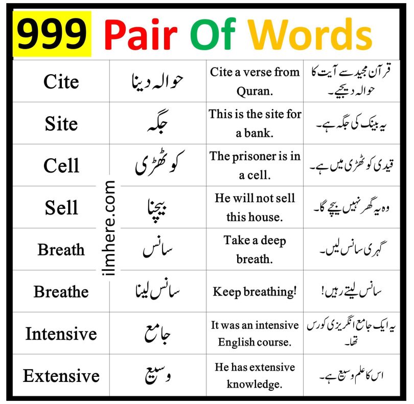 999 Pair Of Words With Meaning And Sentences