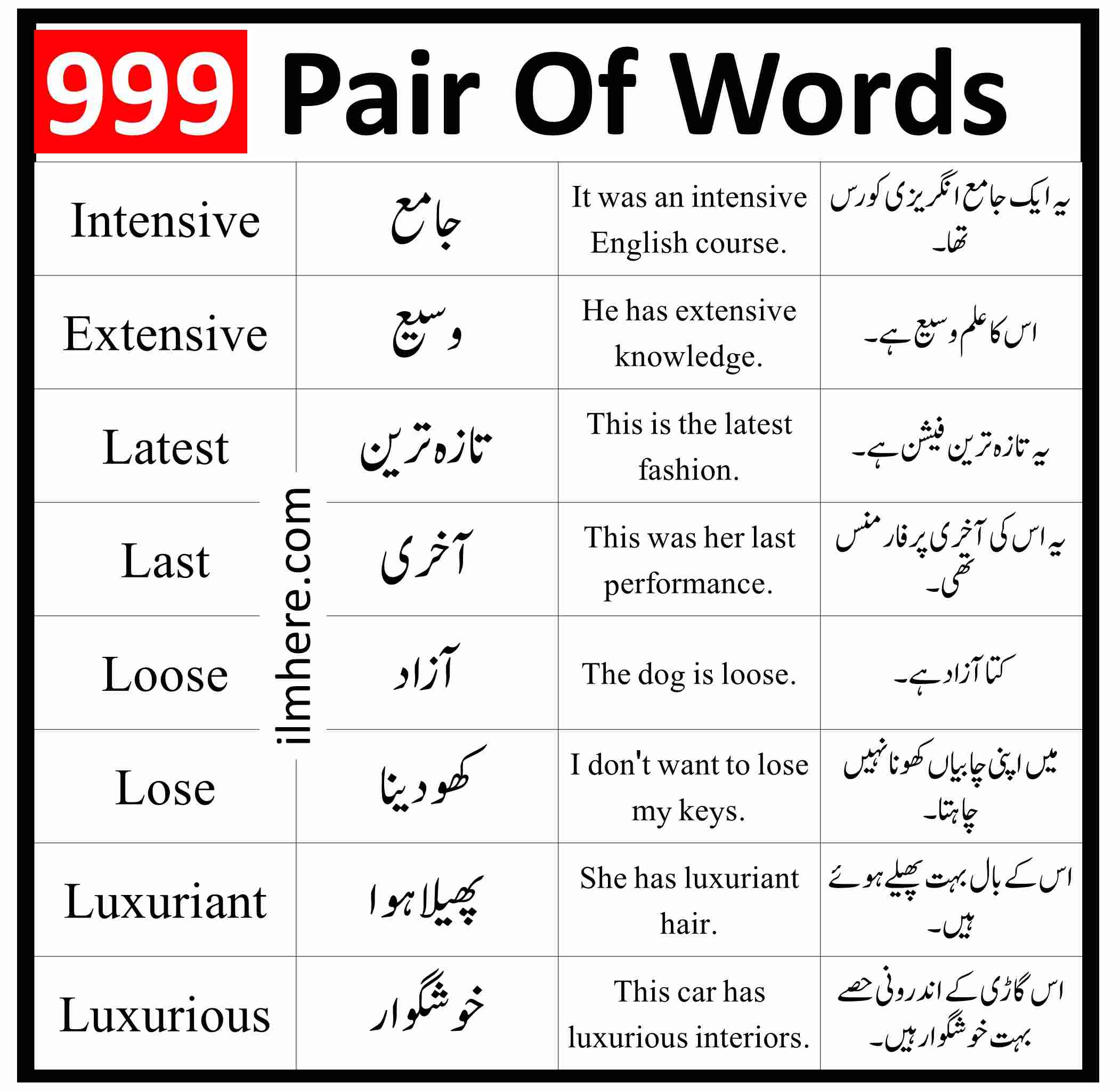 999 Pair of Words with Meaning and Sentences With Pictures