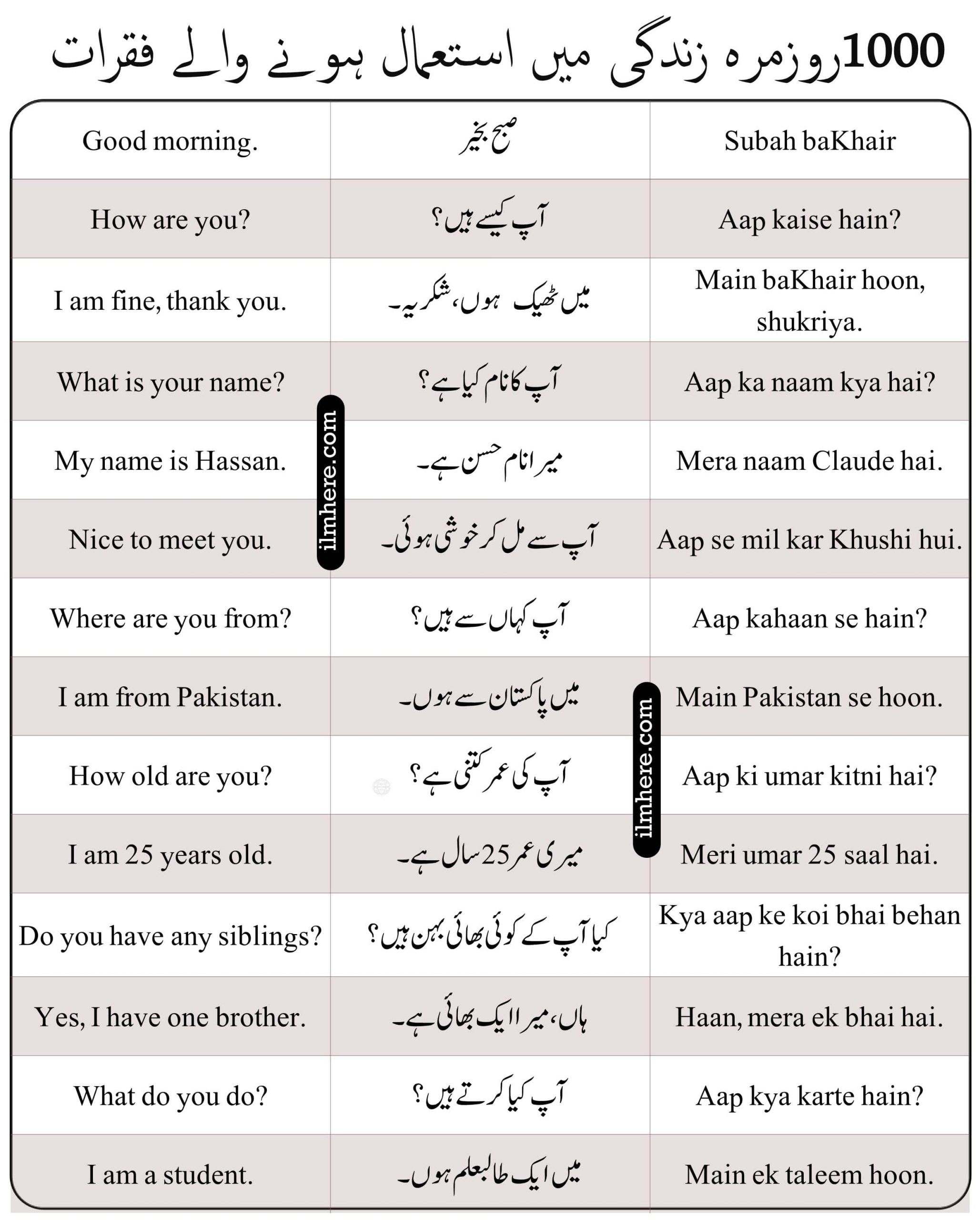 900+ English Sentences in Urdu For Daily Use Ideas