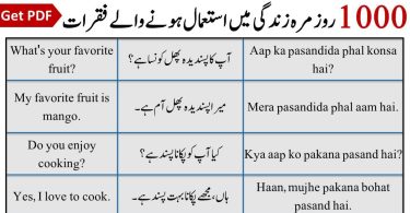 900+ English Sentences in Urdu For Daily Use Ideas