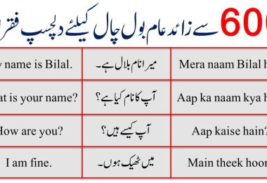 English To Urdu Sentences
