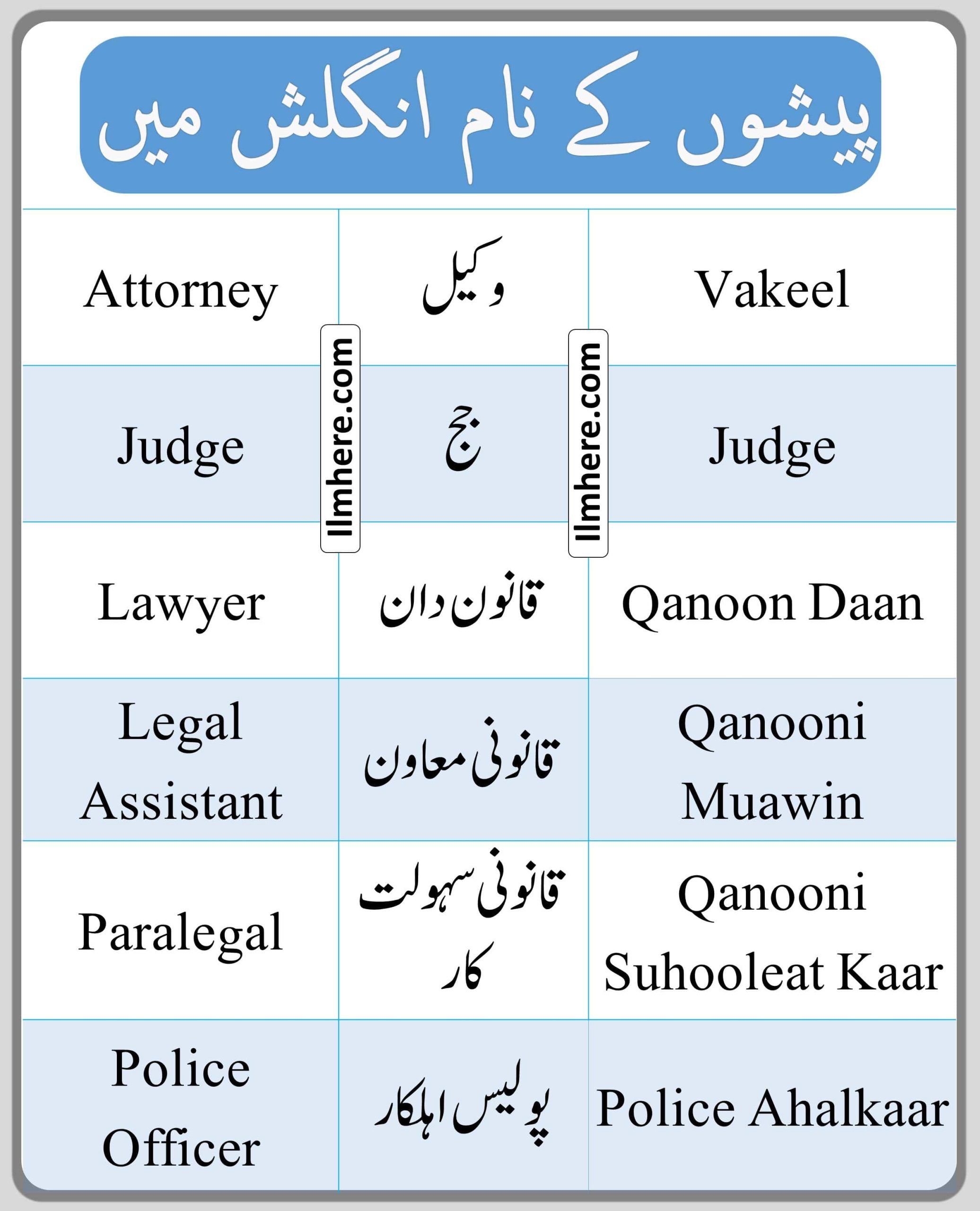 Profession Names related to law and criminal justice