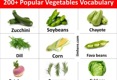 200+ Popular Vegetables Names in English with Pictures