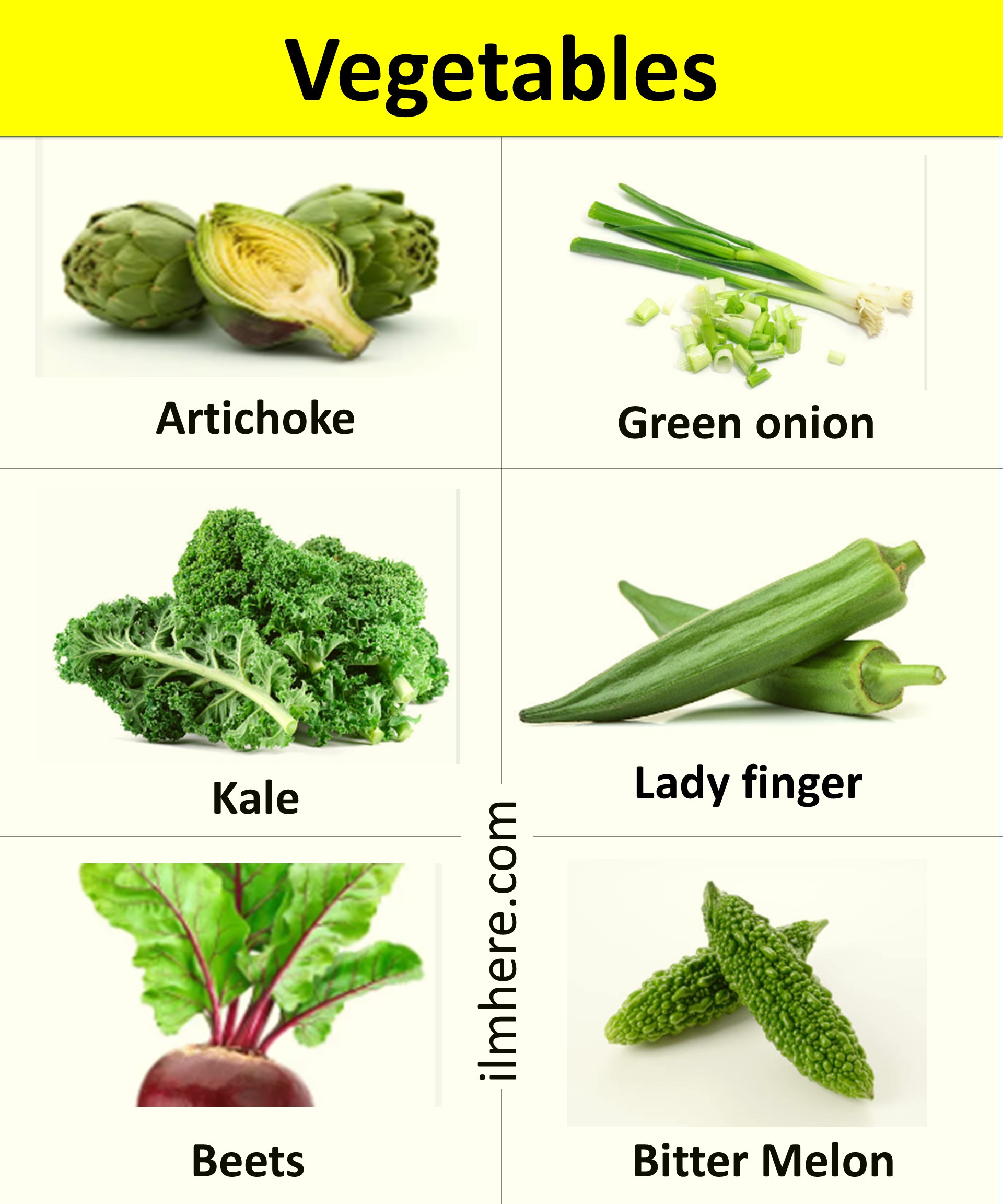 List 1 - 200+ Popular Vegetables Vocabulary with Pictures