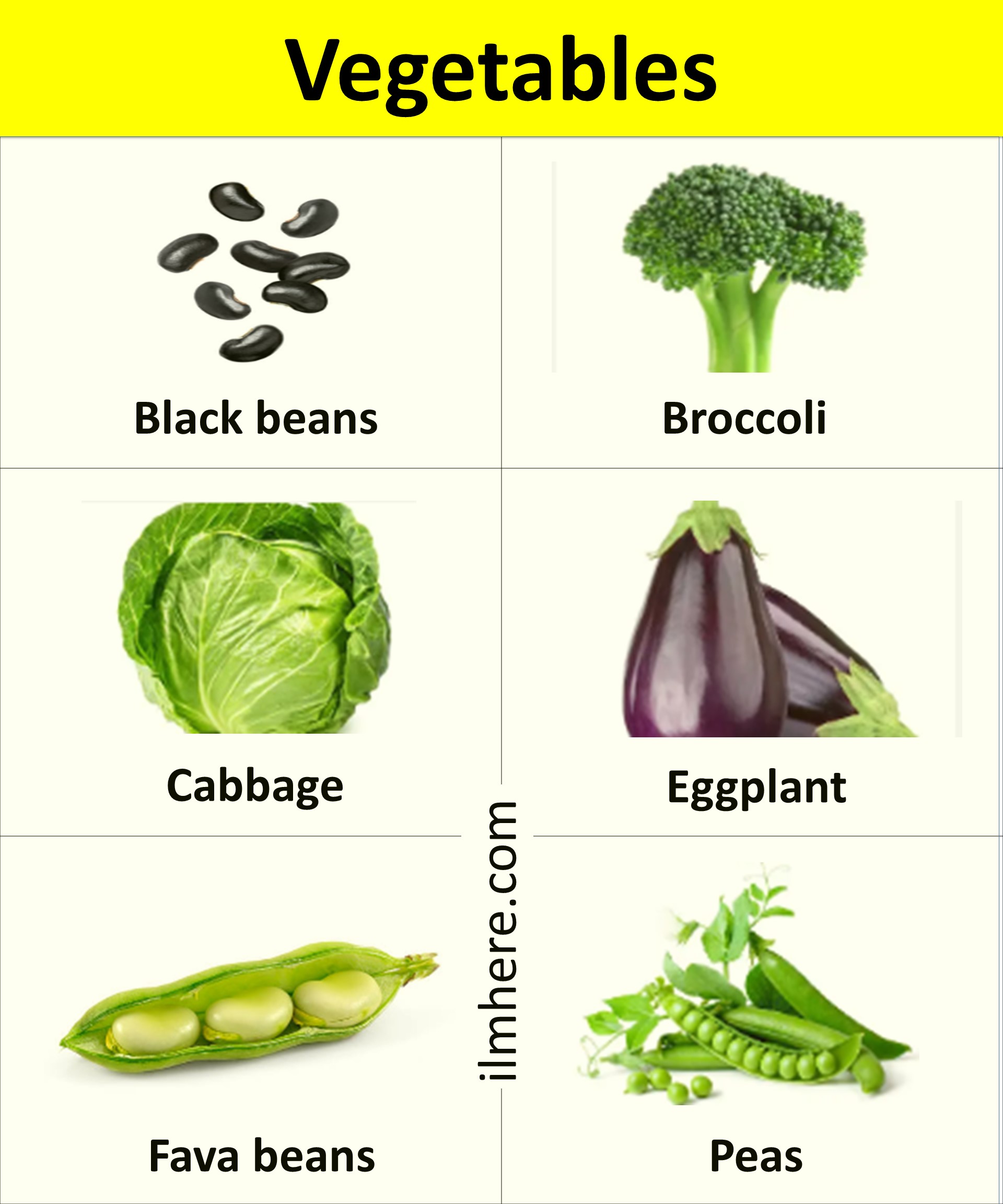 list 3 - 200+ Popular Vegetables Vocabulary with Pictures