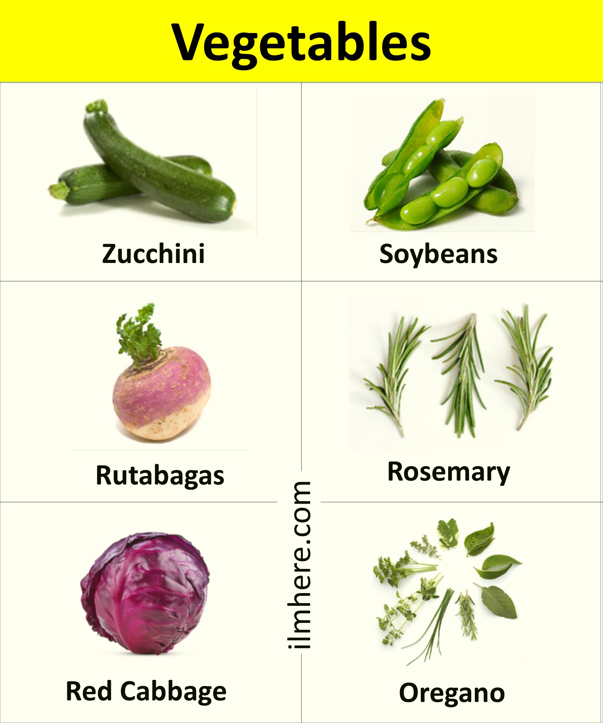 list 5 - 200+ Popular Vegetables Vocabulary with Pictures
