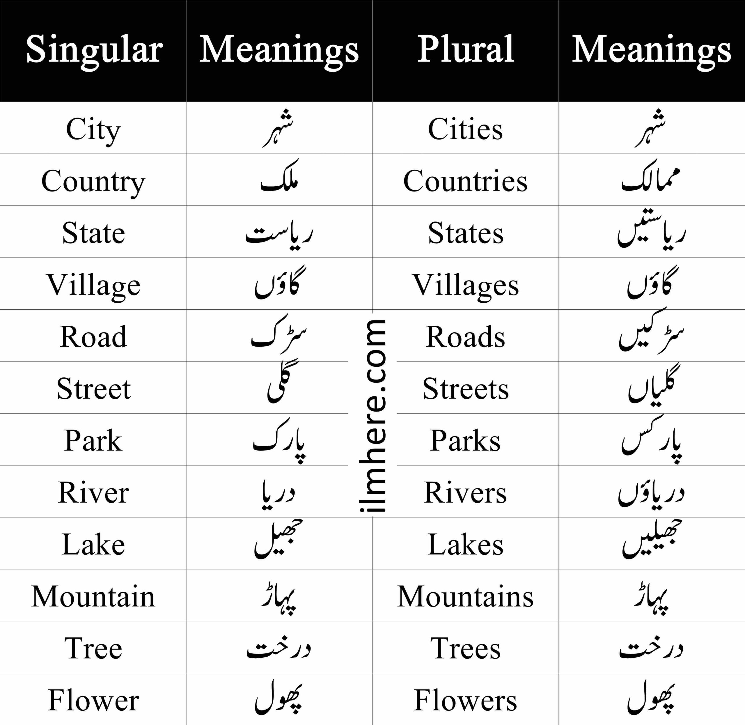 Singular and Plural Nouns