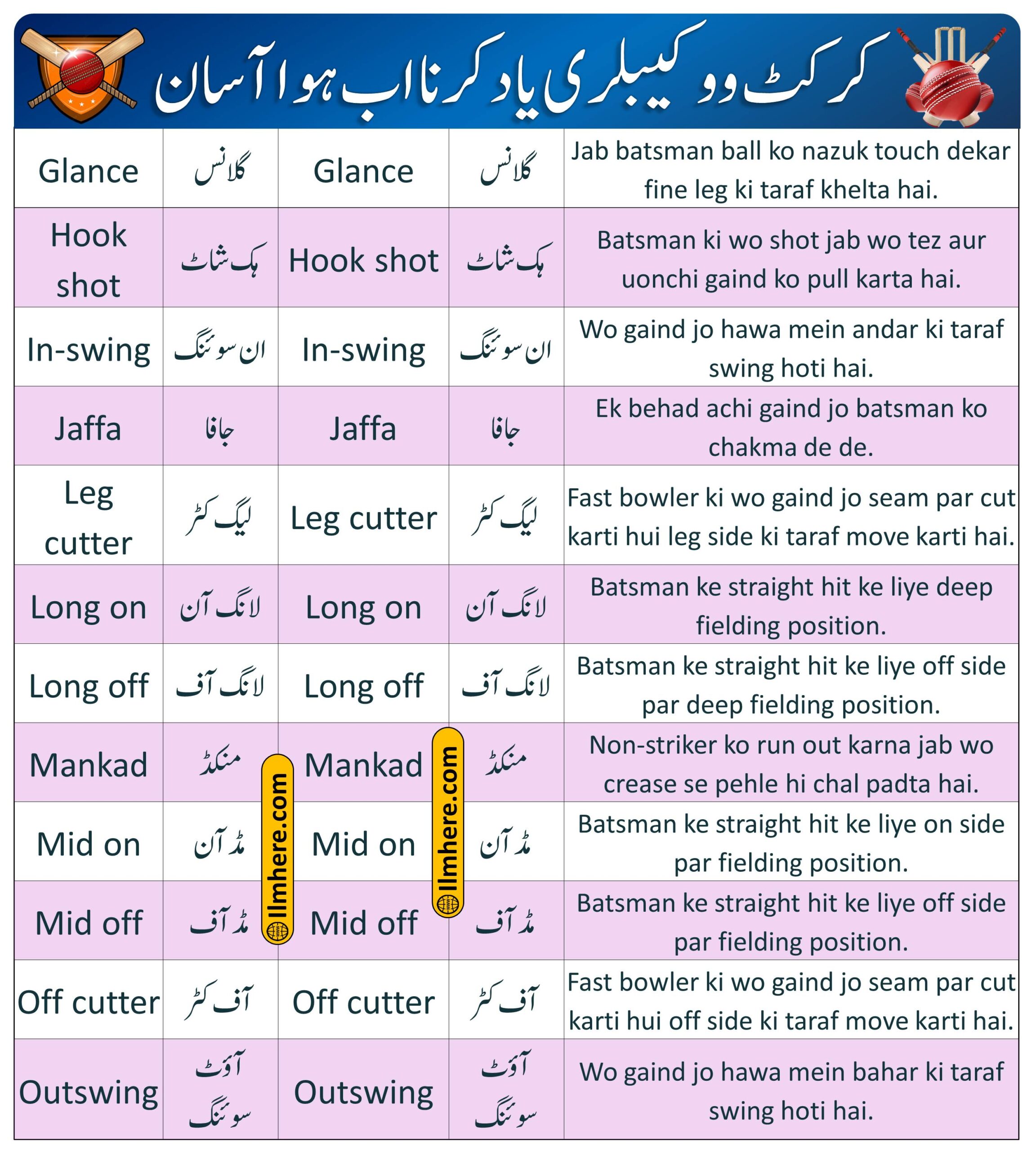 91+ Important Cricket Vocabulary Words In Urdu and English - list 3