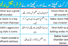 English-to-Urdu Sentences For Cricket
