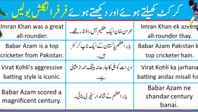 English-to-Urdu Sentences For Cricket