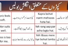 103+ English To Urdu Sentences For Dress, Clothing & Robe
