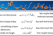 77+ English to Urdu Sentences For Feelings, Emotions & Moods