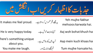 77+ English to Urdu Sentences For Feelings, Emotions & Moods