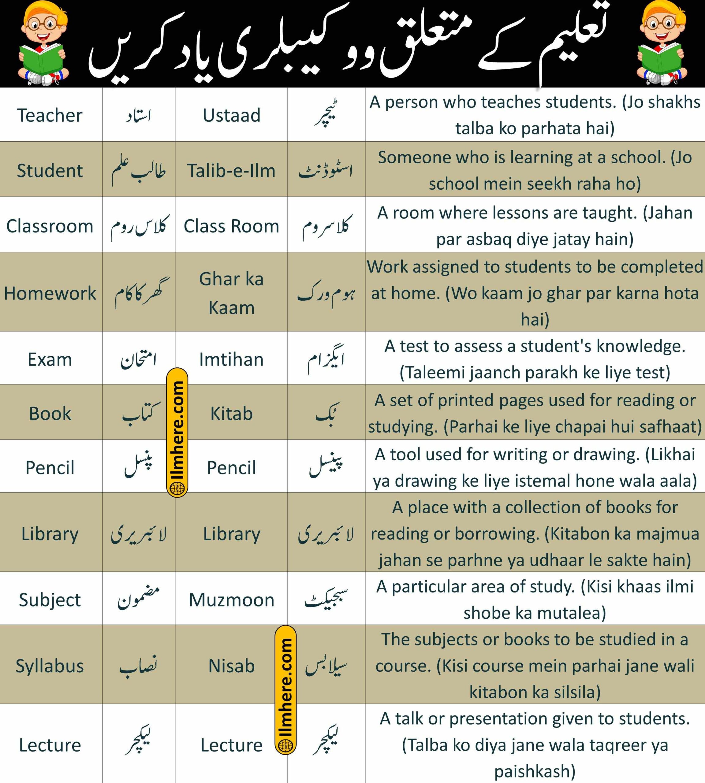 School & Education Vocabulary Words - (1-24)