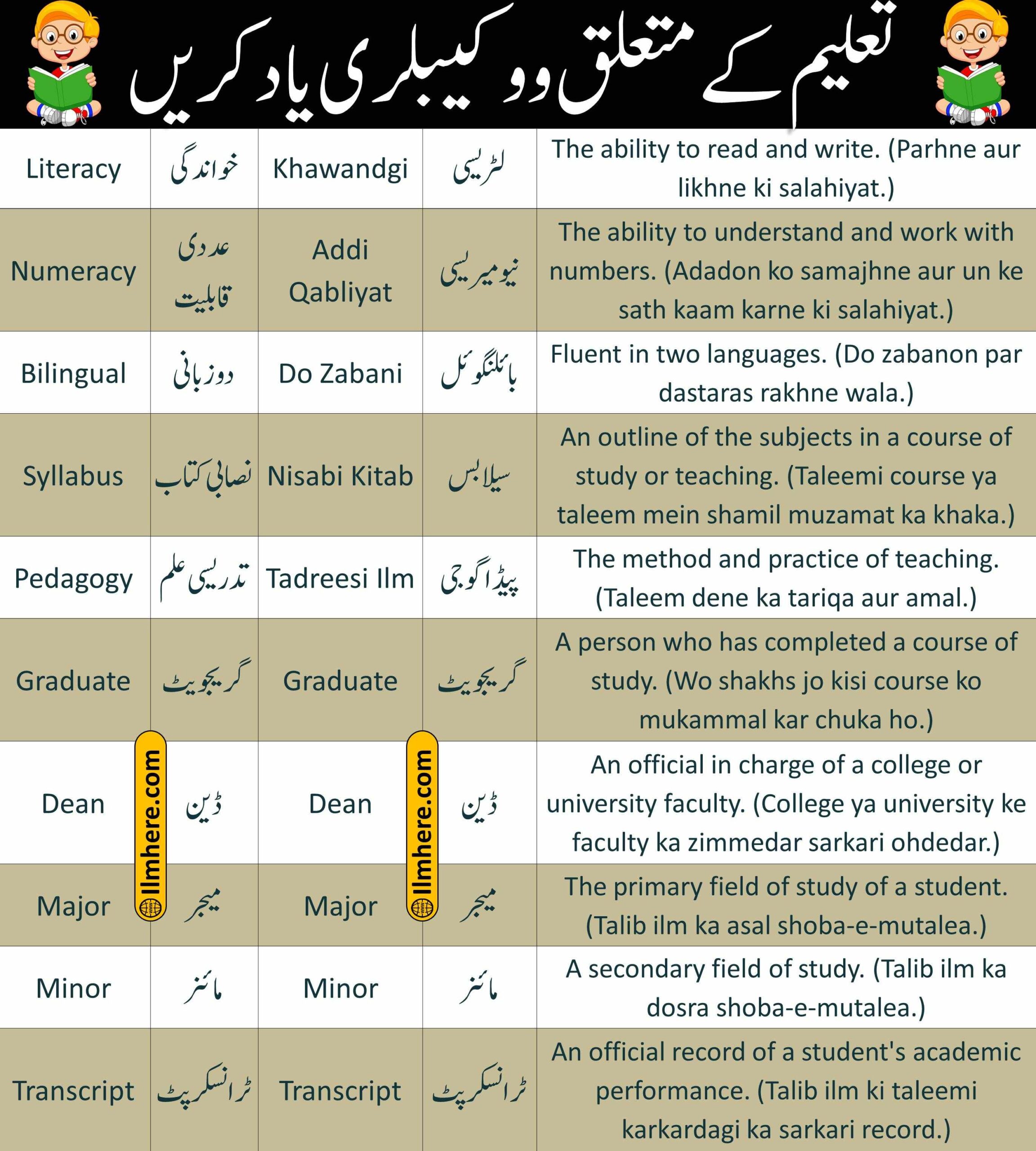 School & Education Vocabulary Words - (25-48)