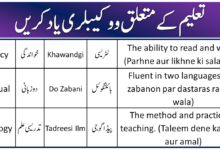 71+ Essential School & Education Vocabulary in Urdu & English