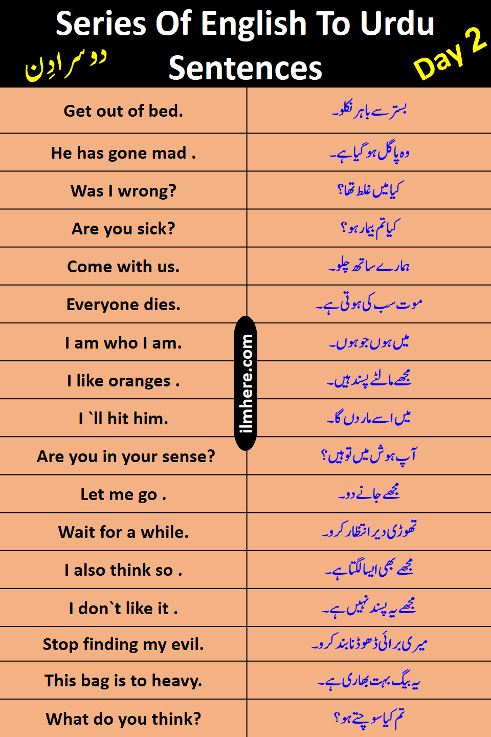 8000 Daily Use English To Urdu Sentences Day 2