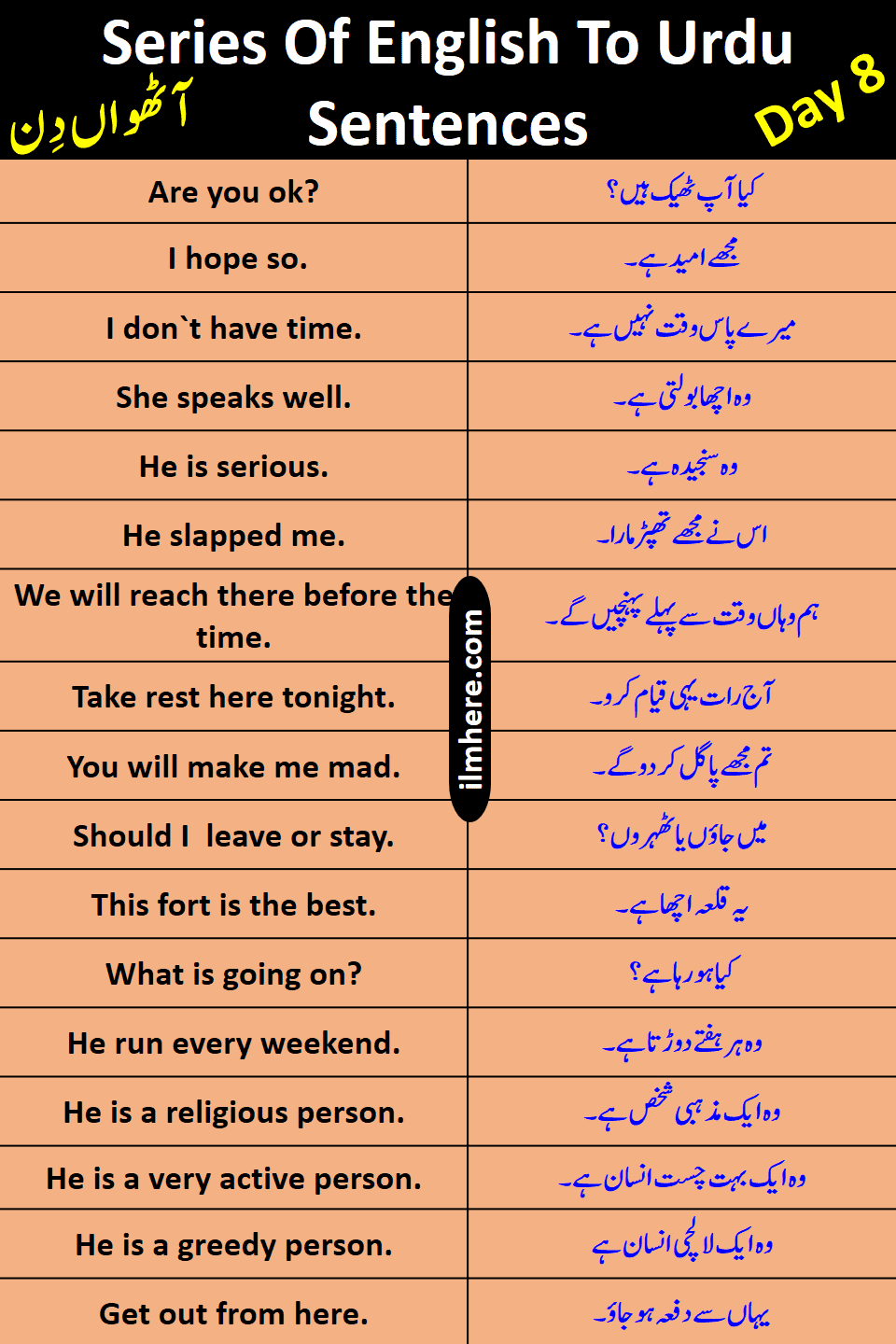 Series Of 8000 Daily Use English To Urdu Sentences Day 8