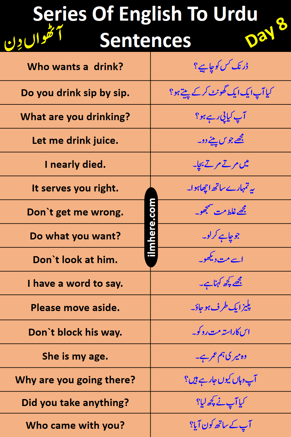 Series Of 8000 Daily Use English To Urdu Sentences Day 8