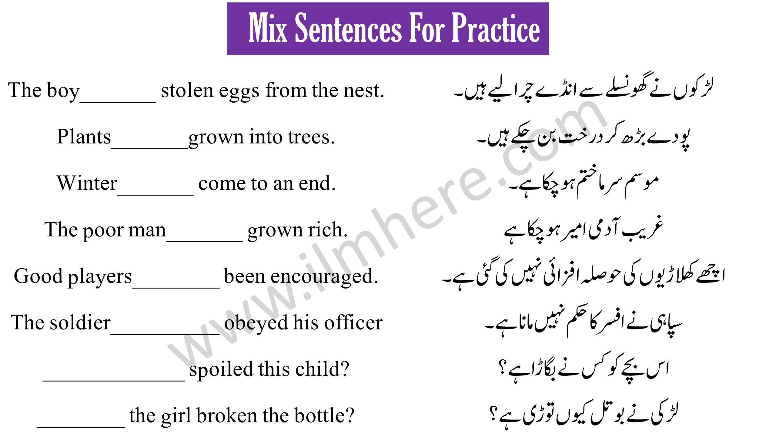 Exercise on Present Perfect Tense - 1